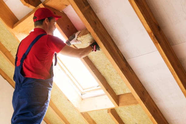 Types of Insulation We Offer in Mesa, AZ